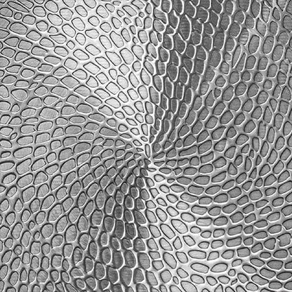 Titanium Koekenpan